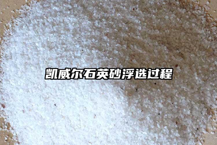 生产厂家猫咪app官网下载地址砂浮选过程